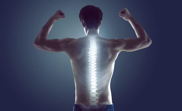 La colonna vertebrale stabilità e mobilità